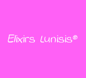 logo Lunisis